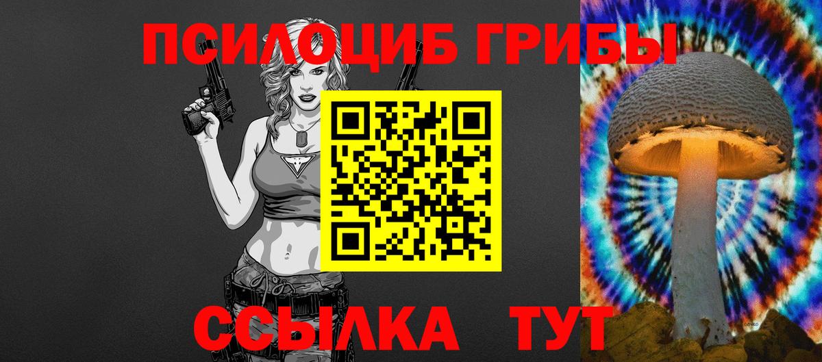 Псилоцибиновые грибы MAGIC MUSHROOMS  Псилоцибиновые грибы мицелий  Вход с VPN  Элиста 
