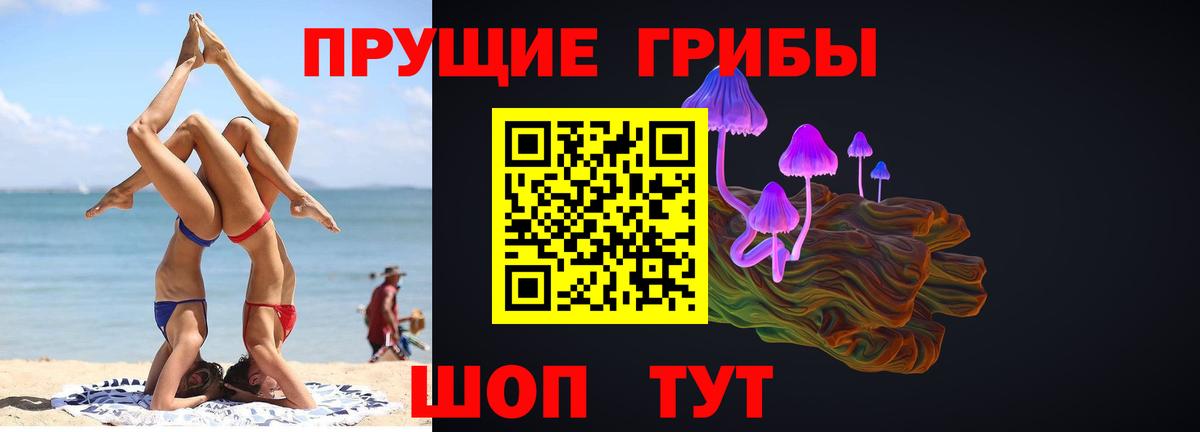 Галлюциногенные грибы Psilocybine cubensis Элиста
